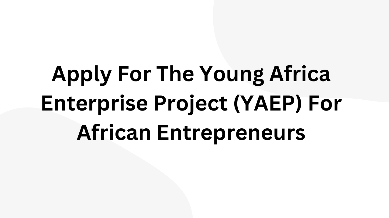 Apply For The Young Africa Enterprise Project (YAEP) For African Entrepreneurs